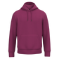 SNS401 - SWEAT-SHIRT ECO À CAPUCHE UNISEXE